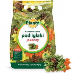 NAWÓZ JESIENNY POD IGLAKI TUJE KRZEWY IGLASTE ZWIĘKSZA ODPORNOŚĆ IGLAK 3kg
