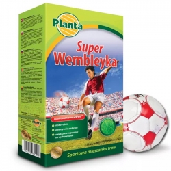 Trawa SUPER WEMBLEYKA 0,9 kg - na tereny intensywnie użytkowane