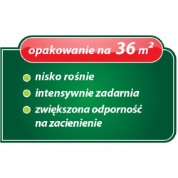 Trawa SUPER WEMBLEYKA 0,9 kg - na tereny intensywnie użytkowane