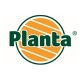 PLANTA